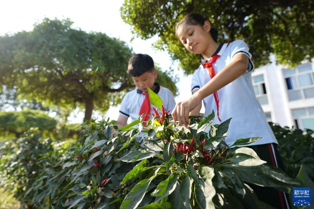 正版葡京賭侠